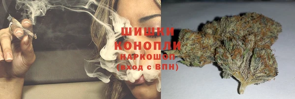 прущий лед Богданович