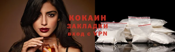 прущий лед Богданович