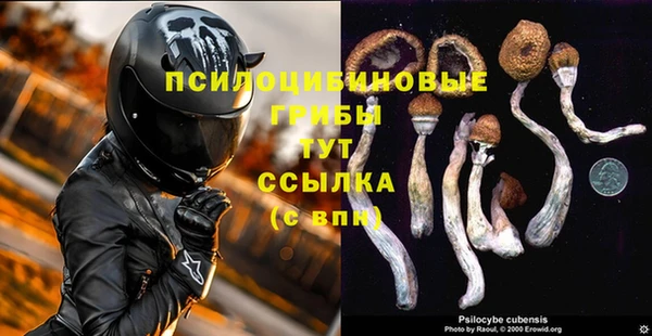 стафф Беломорск