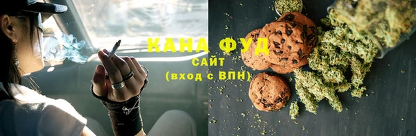 прущий лед Богданович