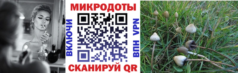купить наркотики цена  МЕГА tor  Псилоцибиновые грибы ЛСД  Бирюсинск 